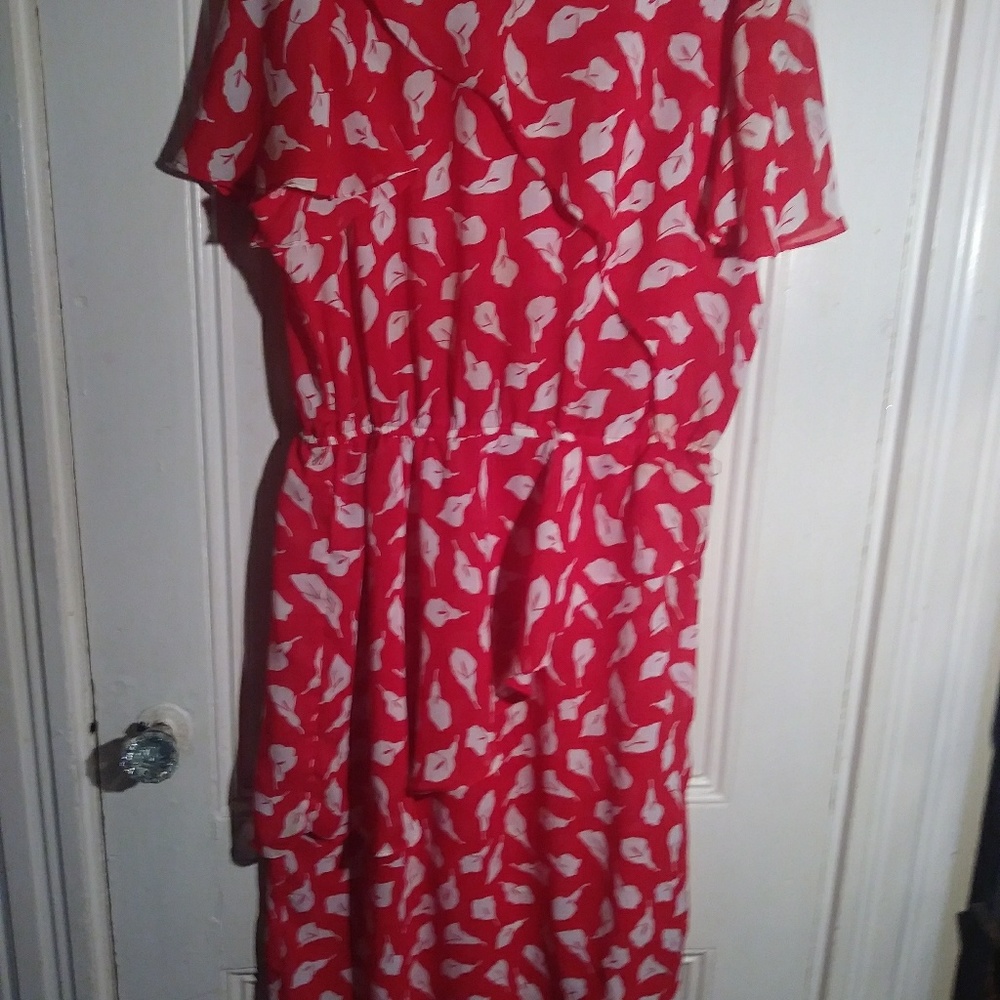 Pretty Joy Gordon red and white dress